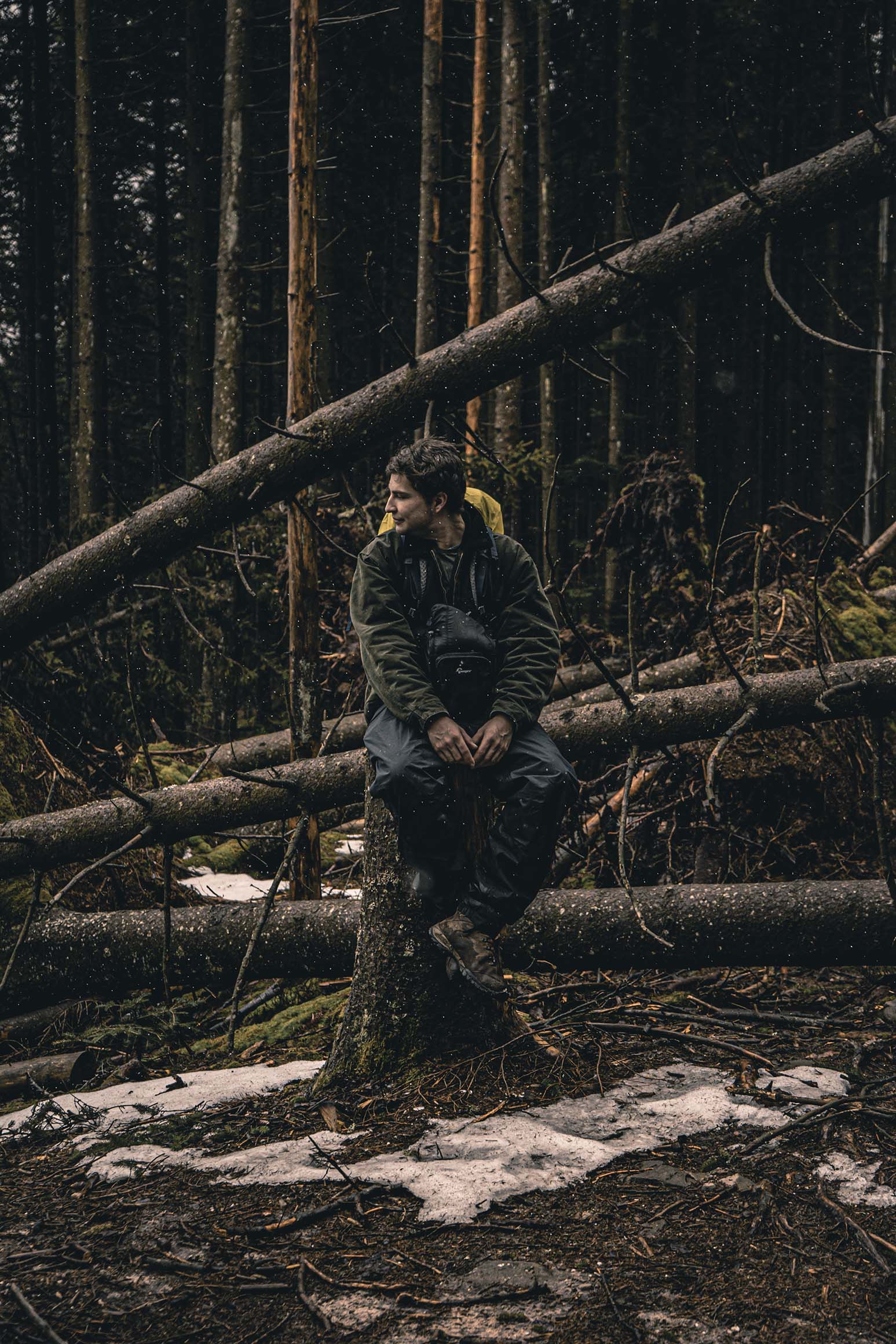 Black forest